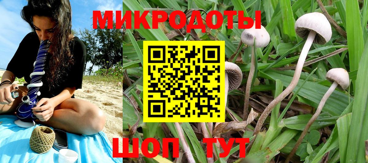 Псилоцибиновые грибы мухоморы Брянск