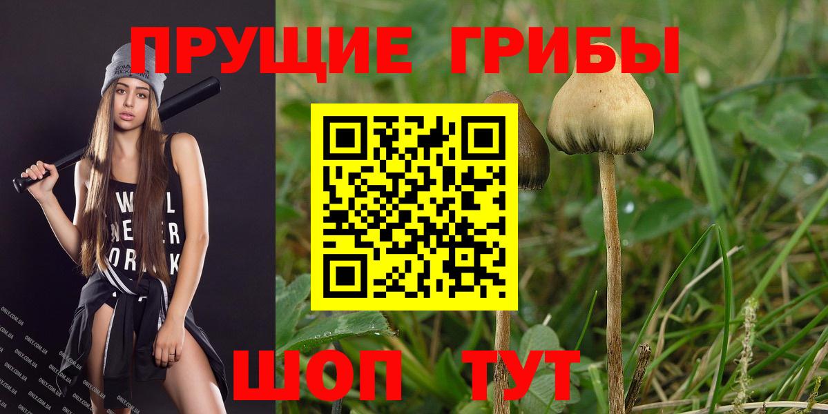 Брянск  Псилоцибиновые грибы ЛСД  Вход с VPN 